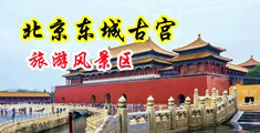 美女扒开小逼插进去视频中国北京-东城古宫旅游风景区